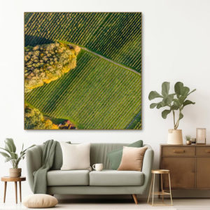 Pohled z výšky na sady Životice